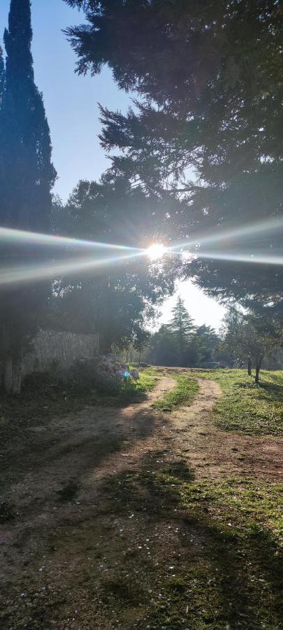 Tenuta Valle Incanto Locorotondo Eksteriør billede